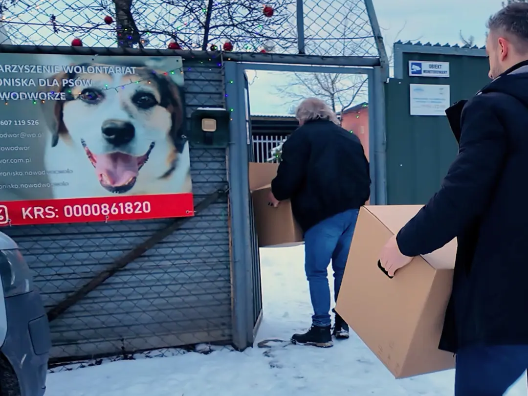 Kocyki dla psów od Blimaro